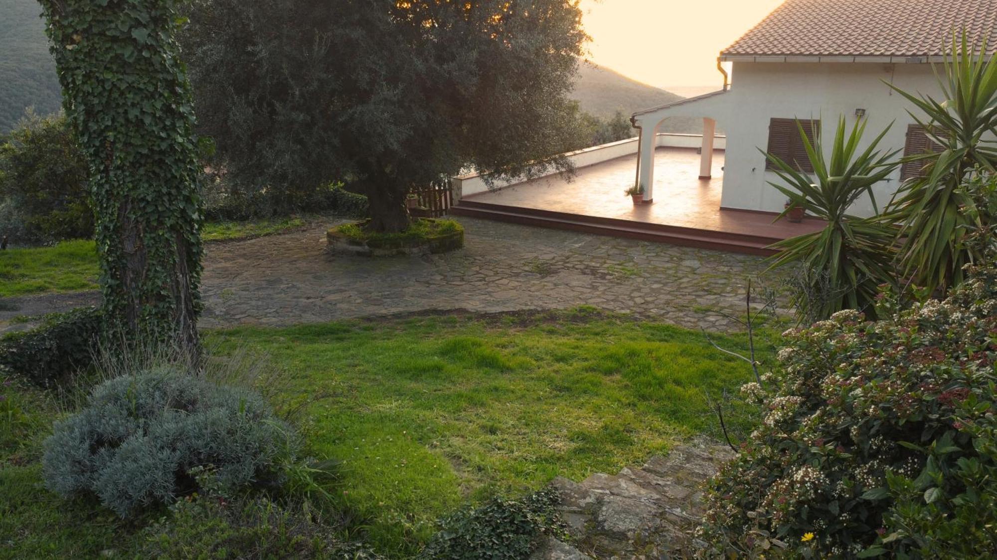 Villa Noemi Scarlino Kültér fotó